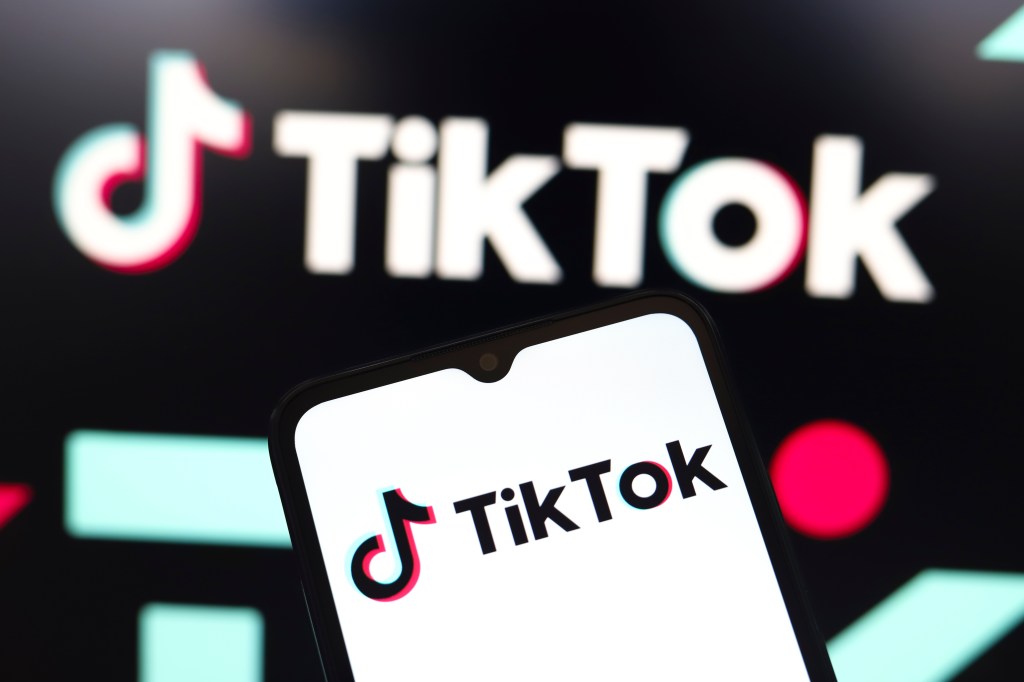 tiktok-future-appeals-court-ruling