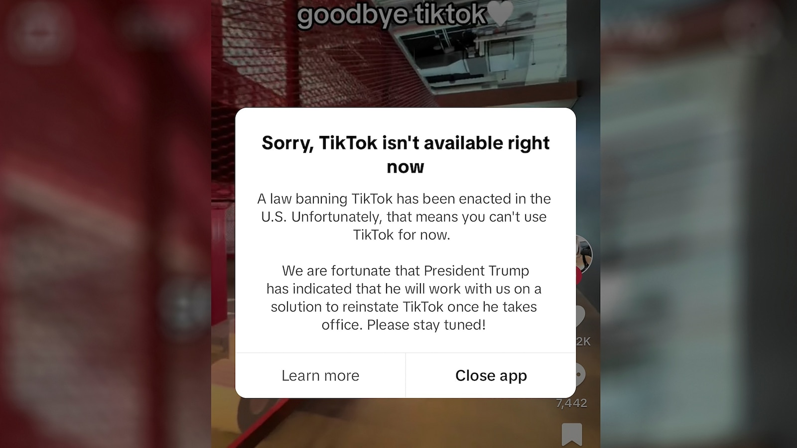 tiktok-outage-potential-ban