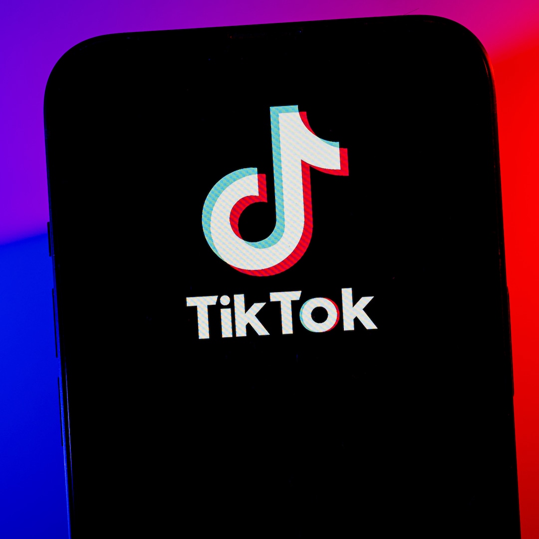 tiktok-us-ban-response