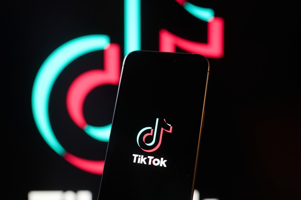 tiktok-us-government-blackout