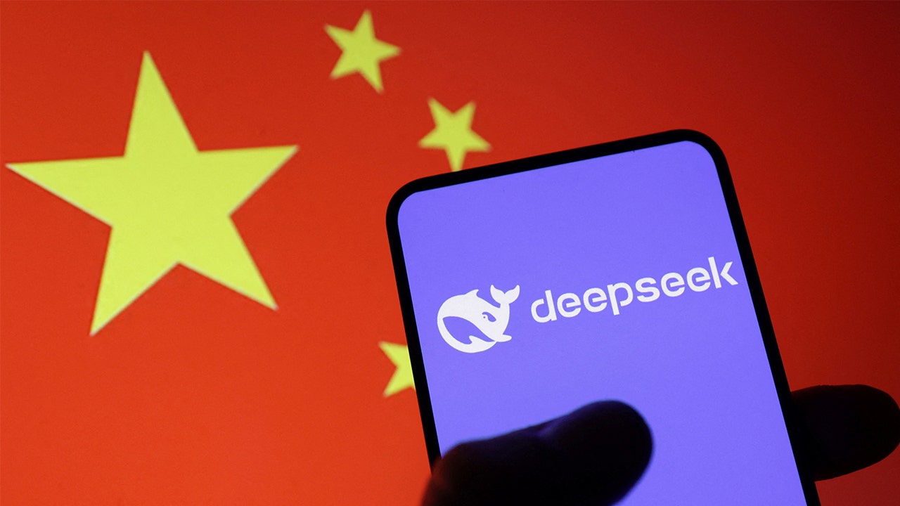deepseek-ban-debate