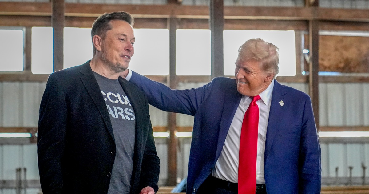 elon-musk-special-government-employee