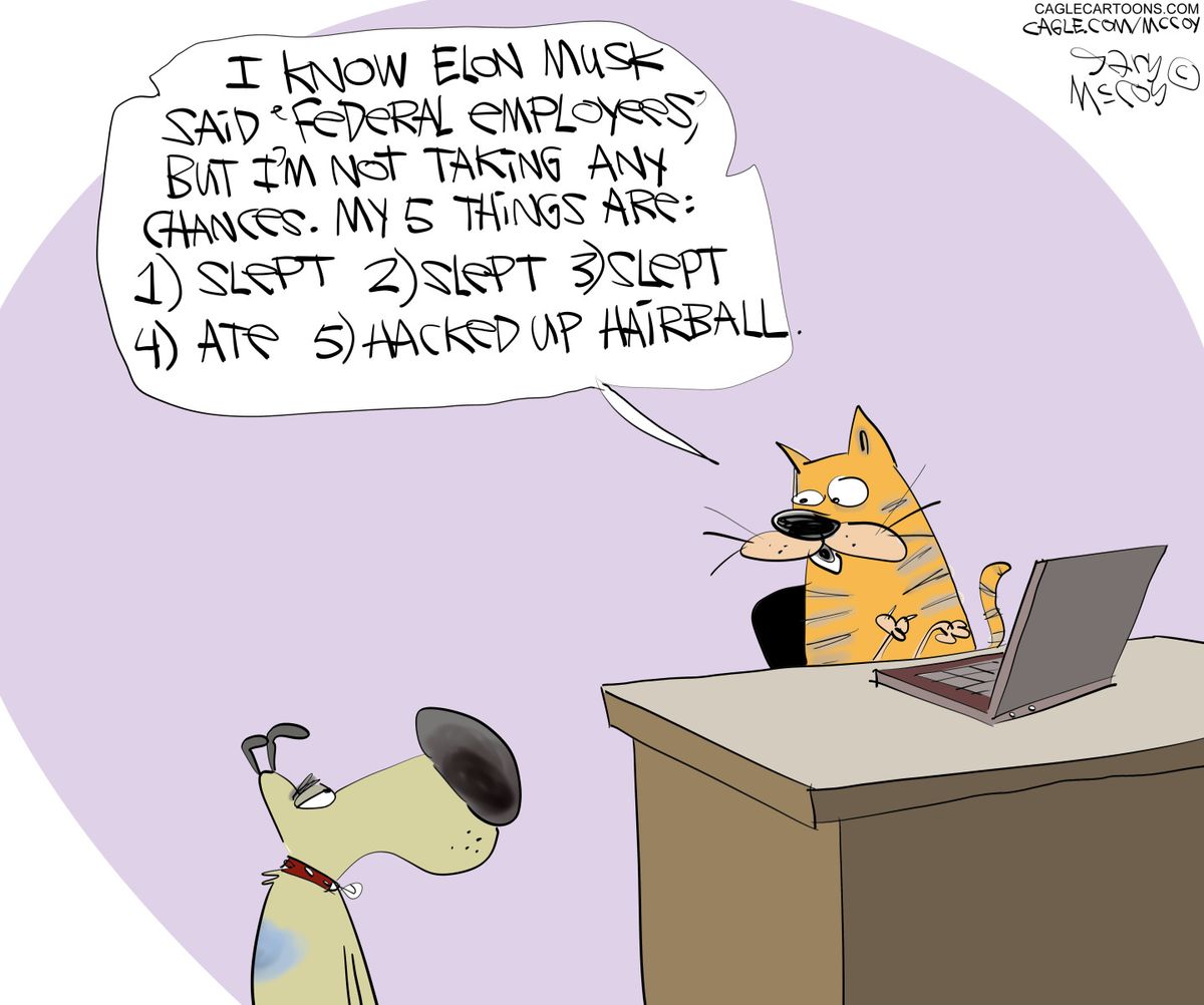 elon-musk-cartoons-humor