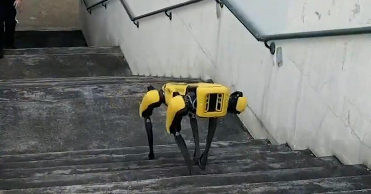 honolulu-robot-dog-policing-innovation